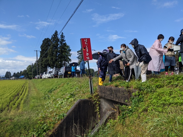 用水路にカワニナを放流する参加者たち