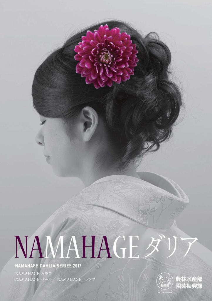 NAMAHAGEダリア第6期生ポスター