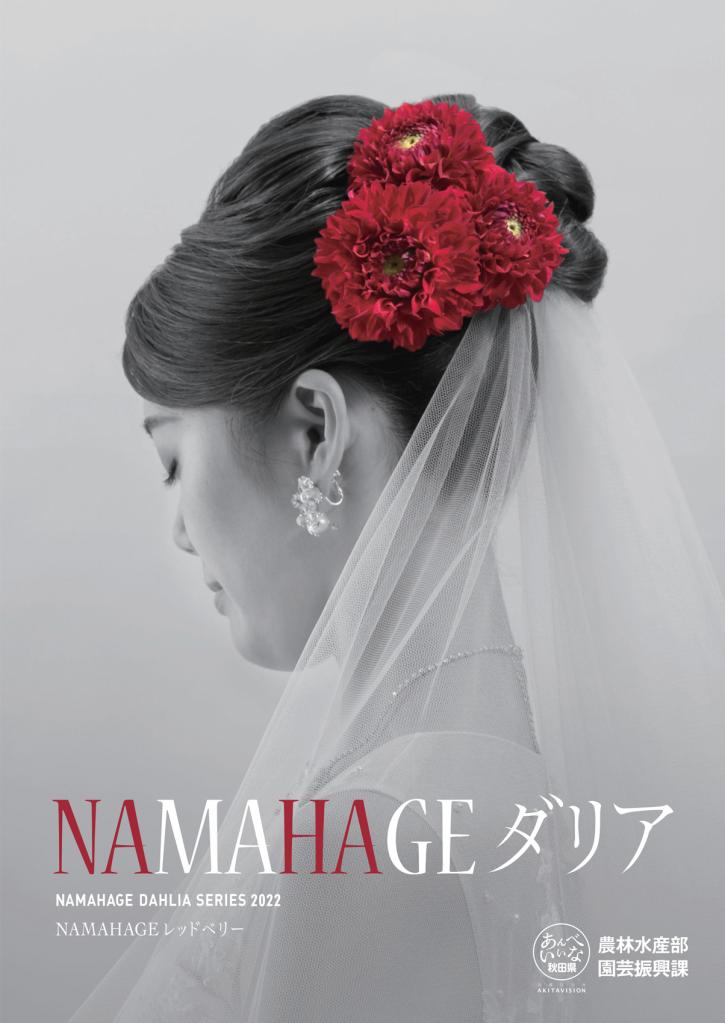 NAMAHAGEダリア第11期生ポスター