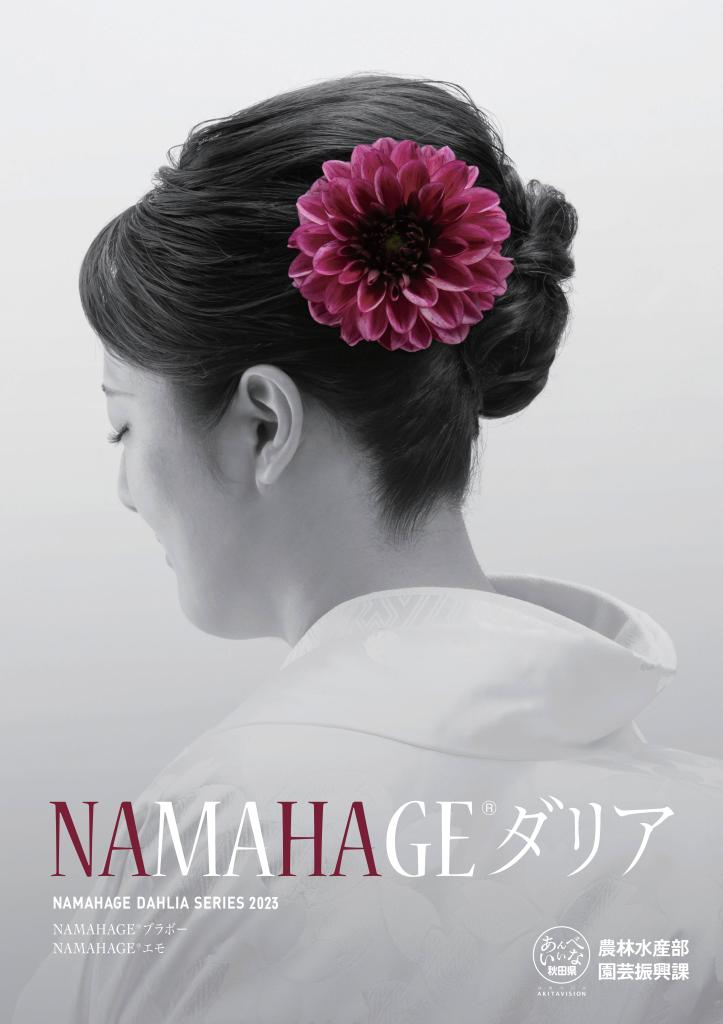 第12期生ポスター（2023年）
