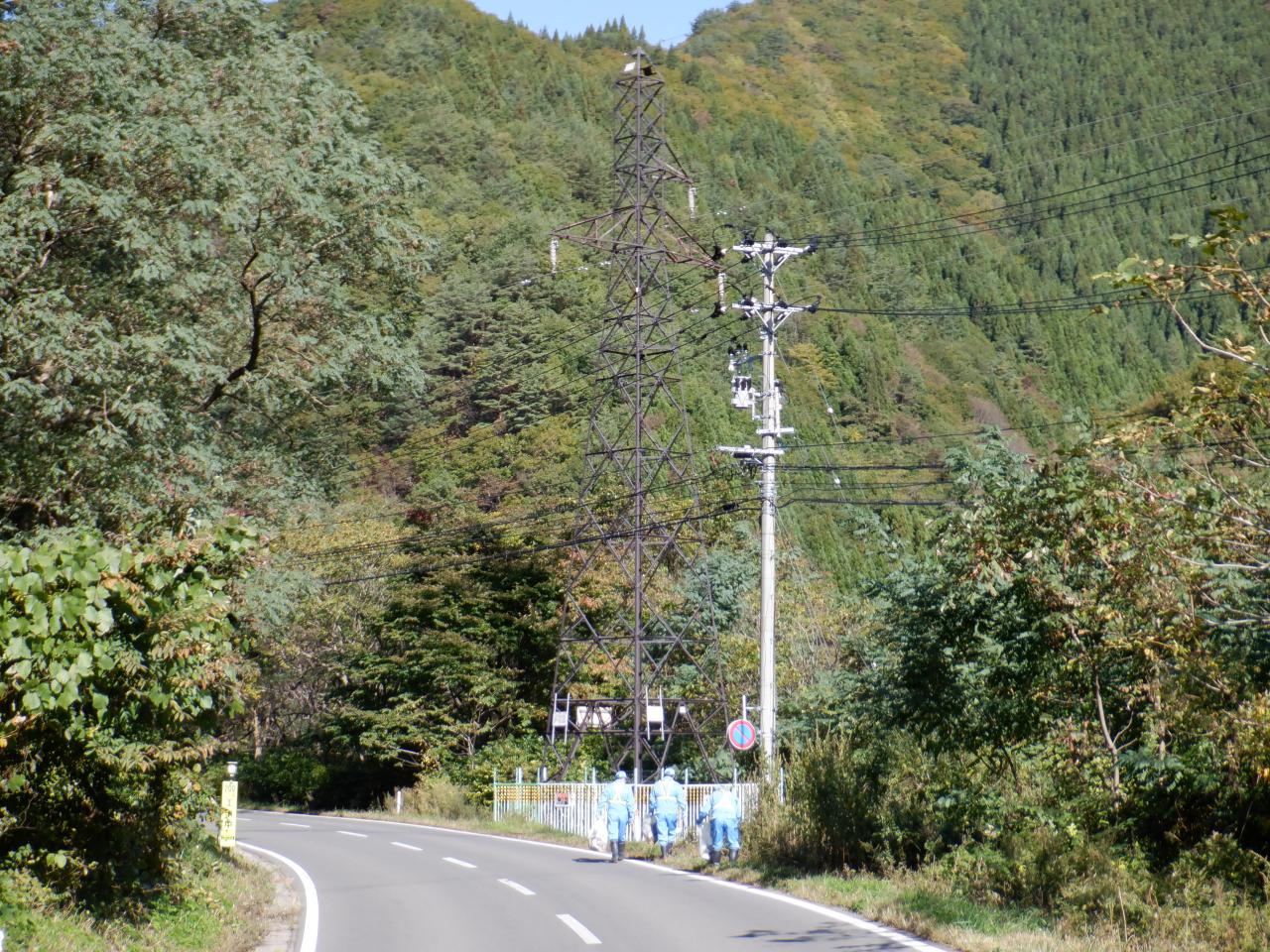 作業の様子