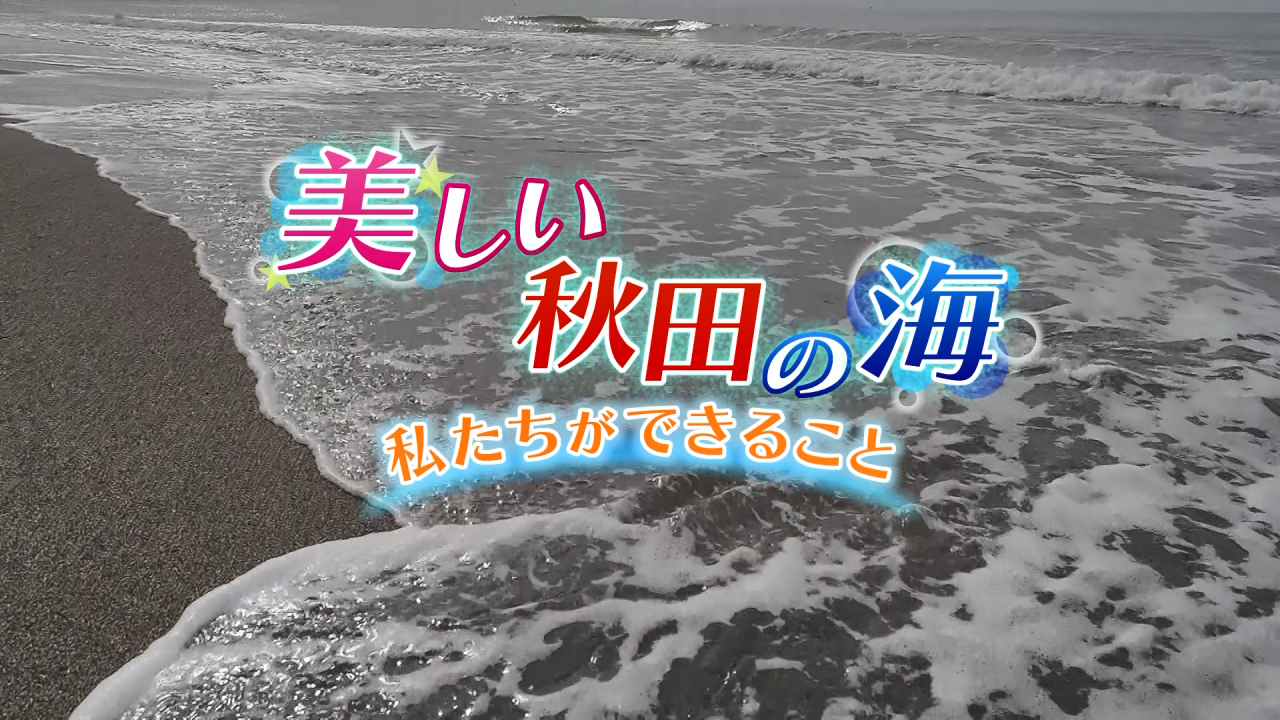  美しい秋田の海トップ[1498KB]