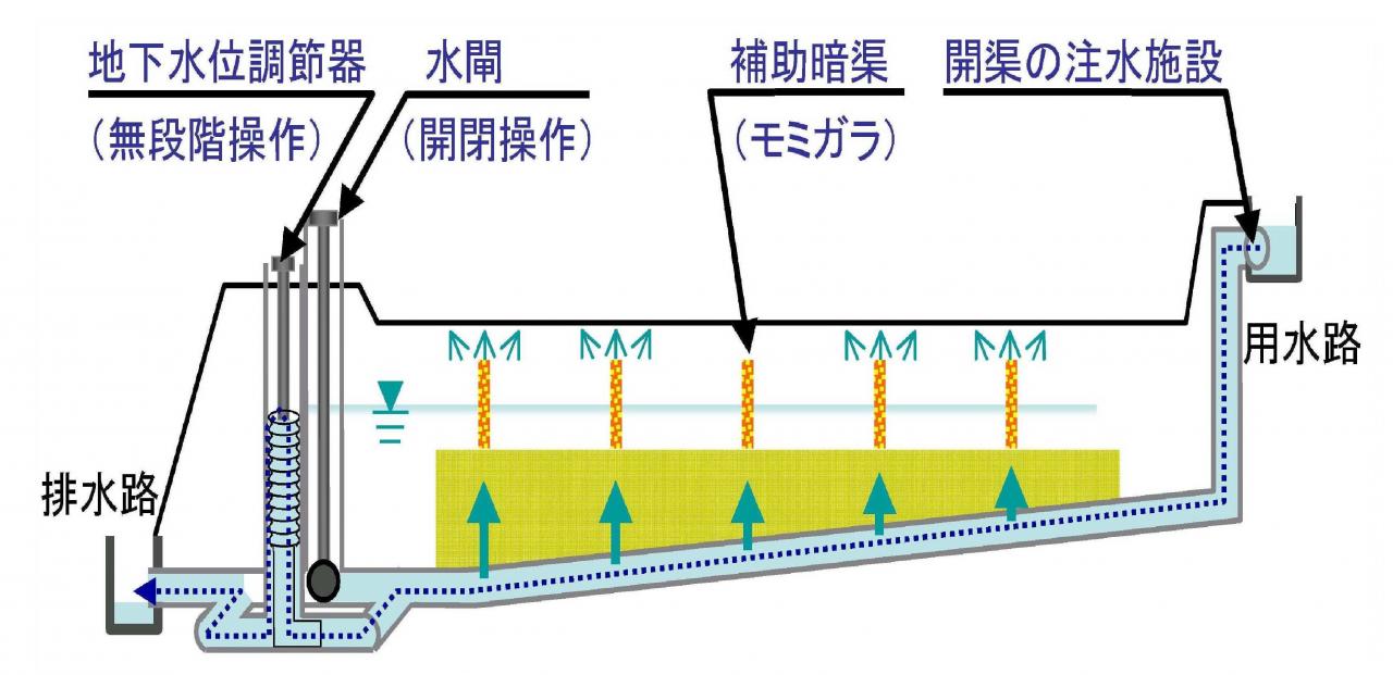 tikakanngai