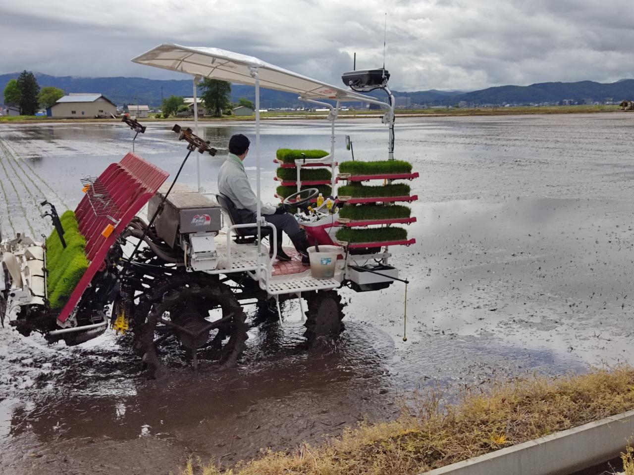 オート田植機