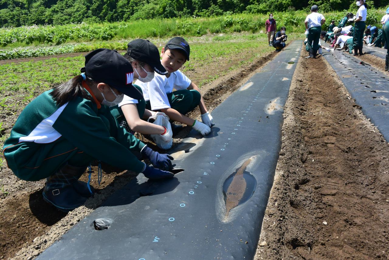 種植え写真