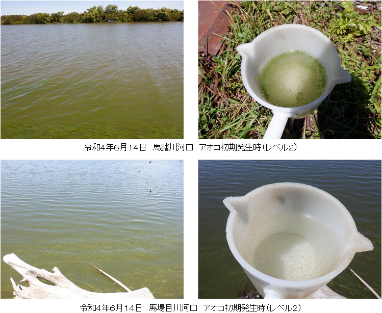 R4年度八郎湖におけるアオコ発生状況 | 美の国あきたネット
