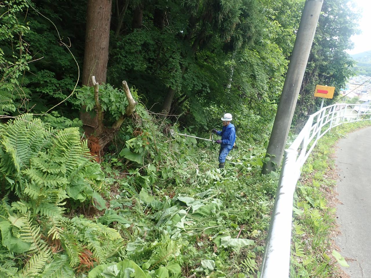 県道沿いの法面での作業の様子