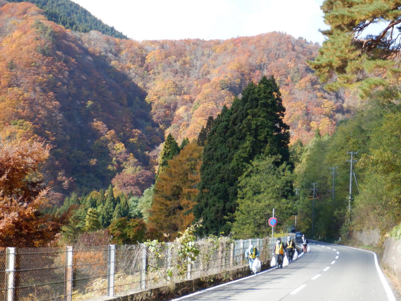 紅葉の湯瀬渓谷をバックに作業に励みます