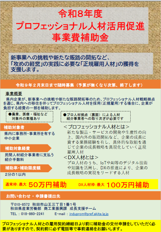 プロフェッショナル人材活用促進事業費補助金チラシ