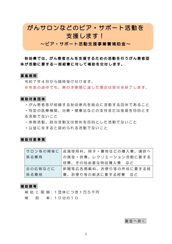 ピア・サポート活動支援事業費補助金チラシ表面