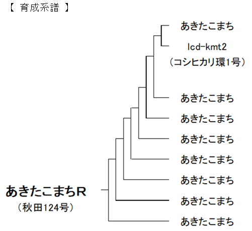 育成系譜