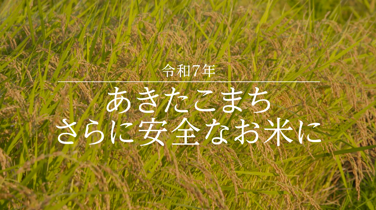 水稲新品種「あきたこまちR」を紹介します！ | 美の国あきたネット