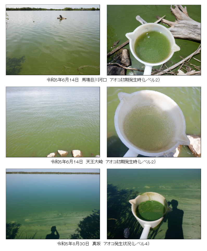 八郎湖 アオコ: アオコが与える影響 _ 【秋田県】アオコ発生状況 – NXFJO