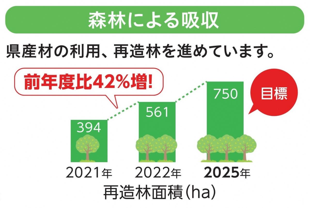 画像：森林による吸収　県における再造林面積が昨年度より増え、今後も増やしていく目標をたてていることを、イラスト化したグラフとテキストで簡潔に表している画像