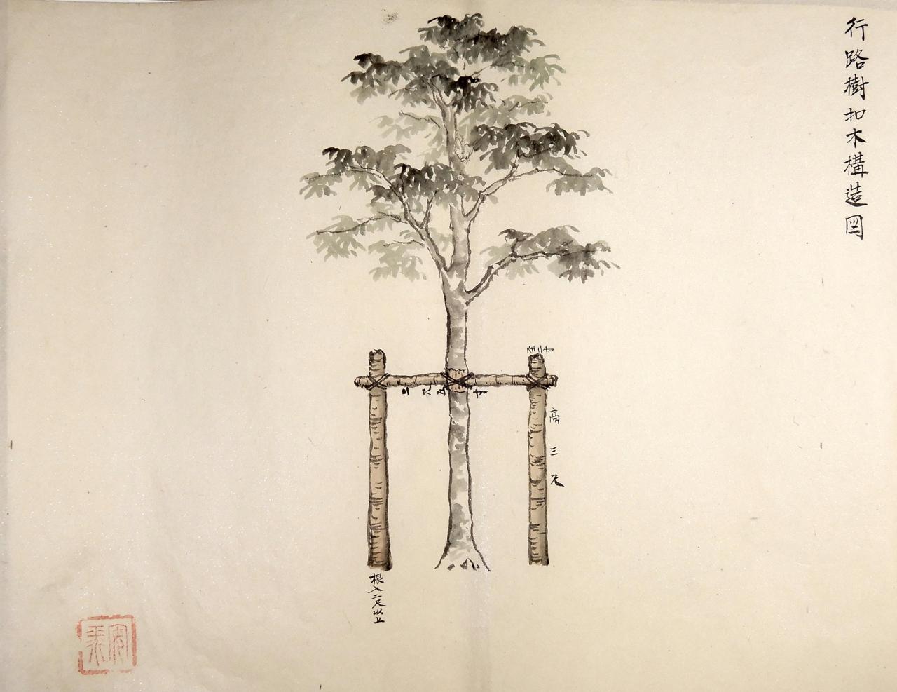 (43)行路樹控木構造図