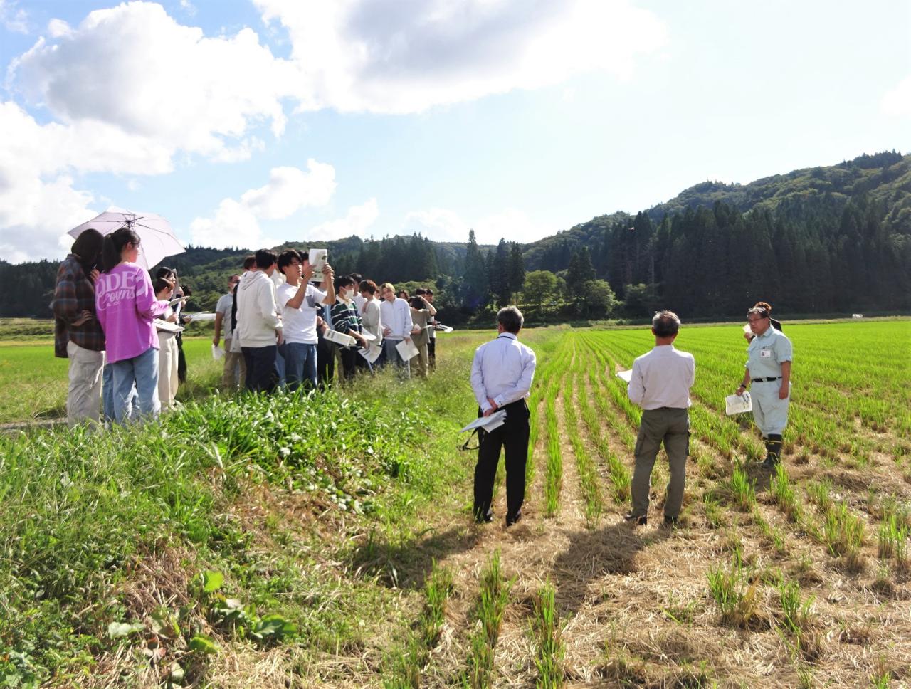 本城地区を見学する学生