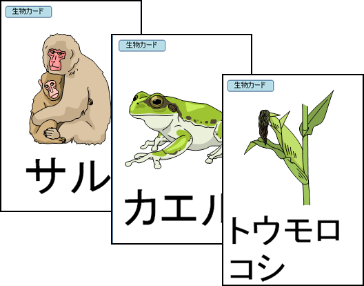 「生物の体の共通点と相違点」