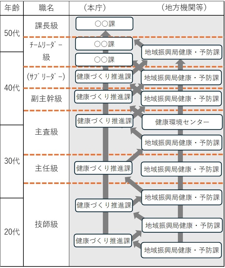 キャリアパス（管理栄養士）