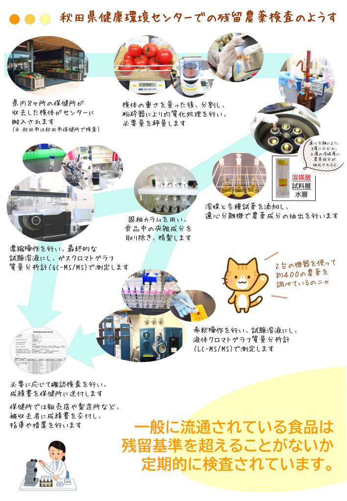 残留農薬検査のようす