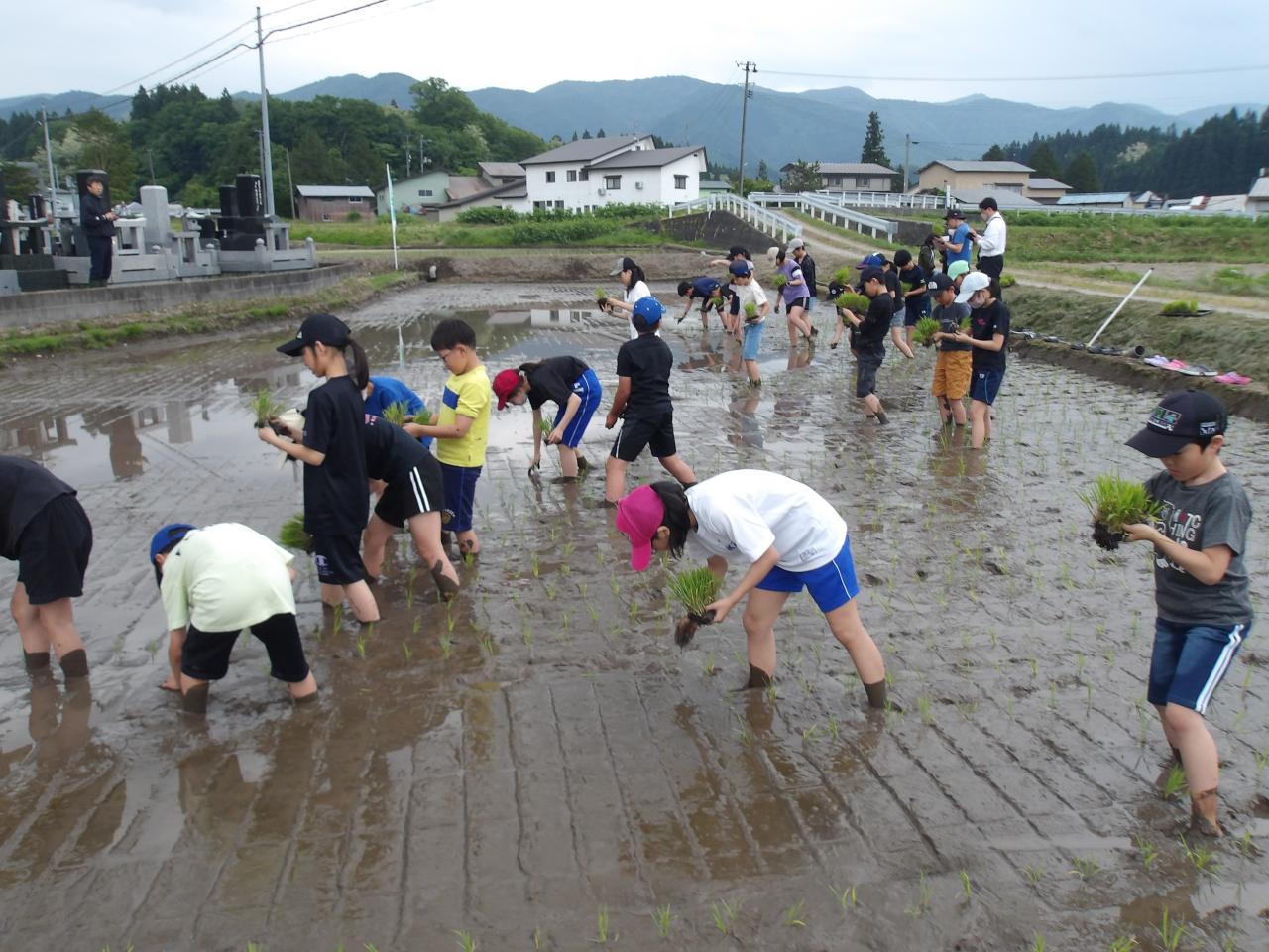 田植え写真1