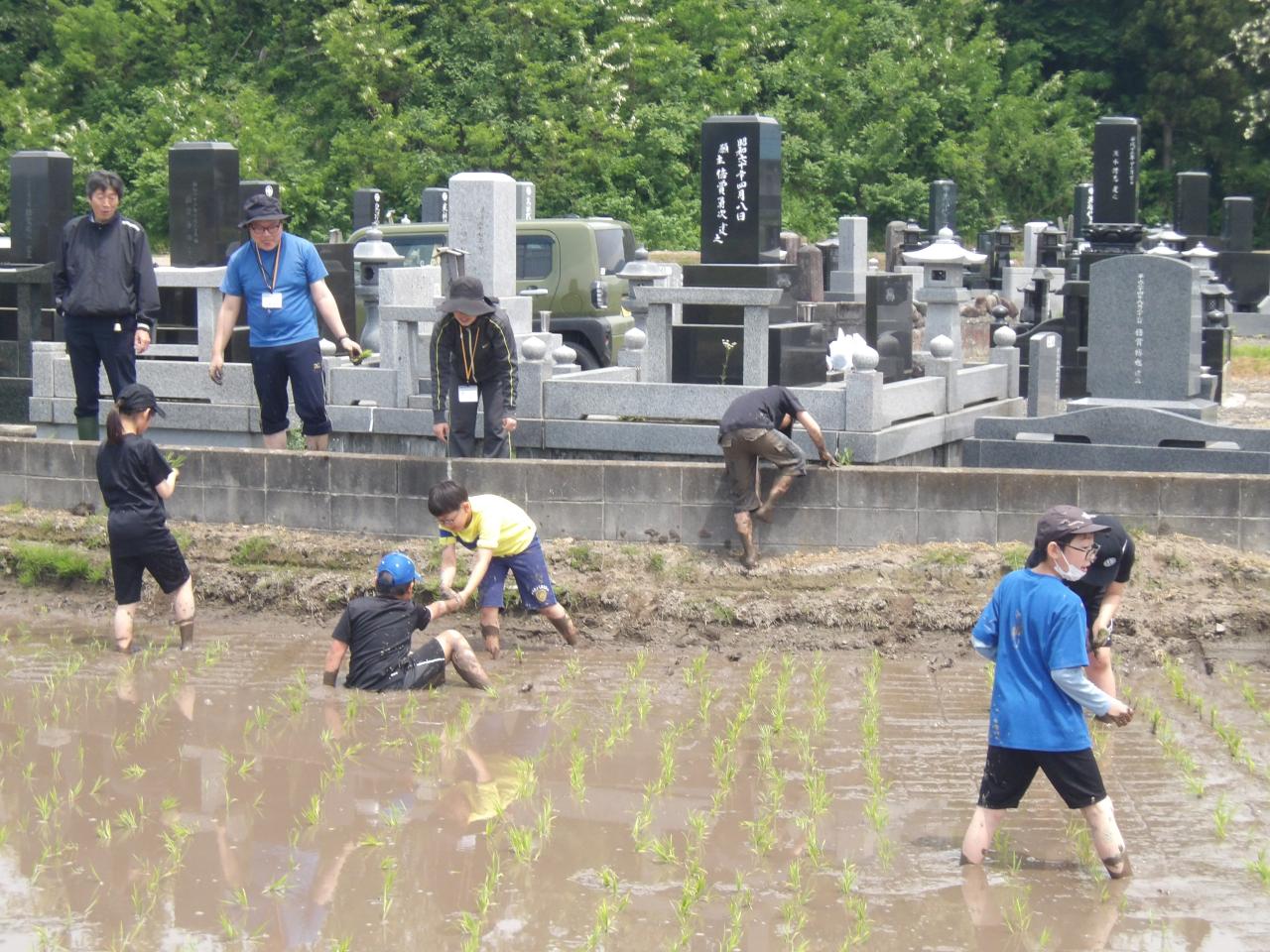 田植え写真2