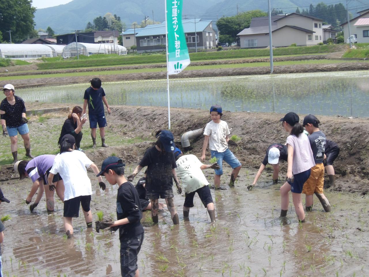 田植え写真3