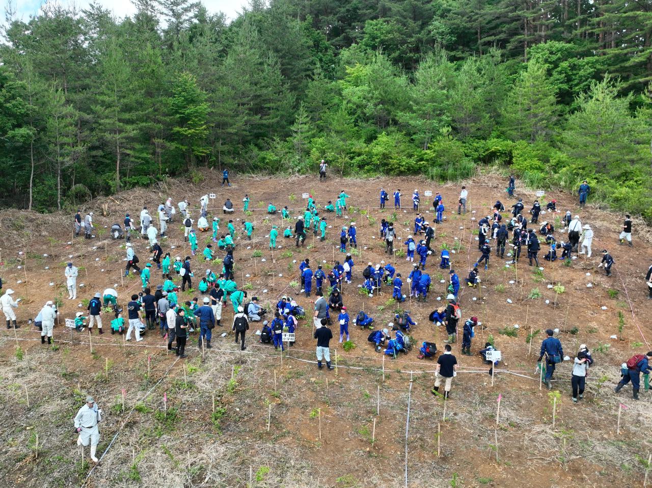 植樹の様子
