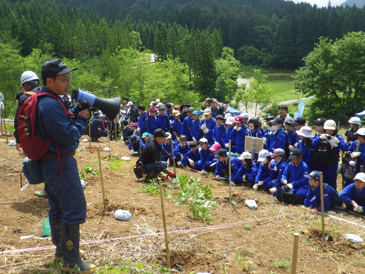 森林組合による植樹方法の説明