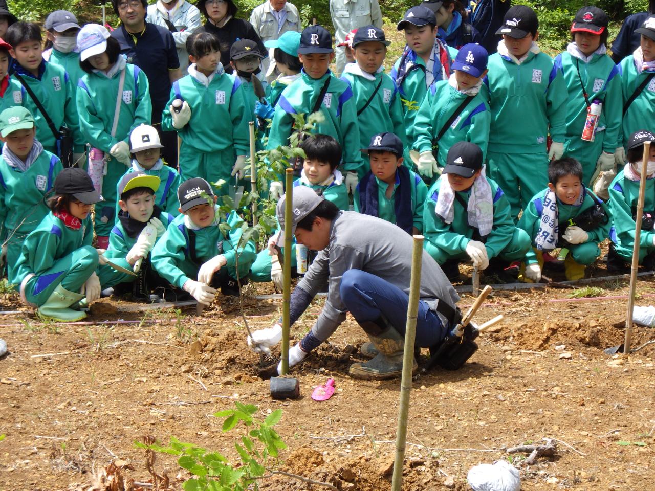 植樹の方法を教わる児童