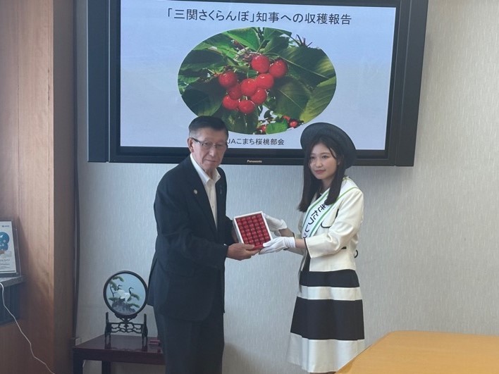 あきたフレッシュ大使から知事へ三関さくらんぼを贈呈あきたフレッシュ大使から知事へ三関さくらんぼを贈呈