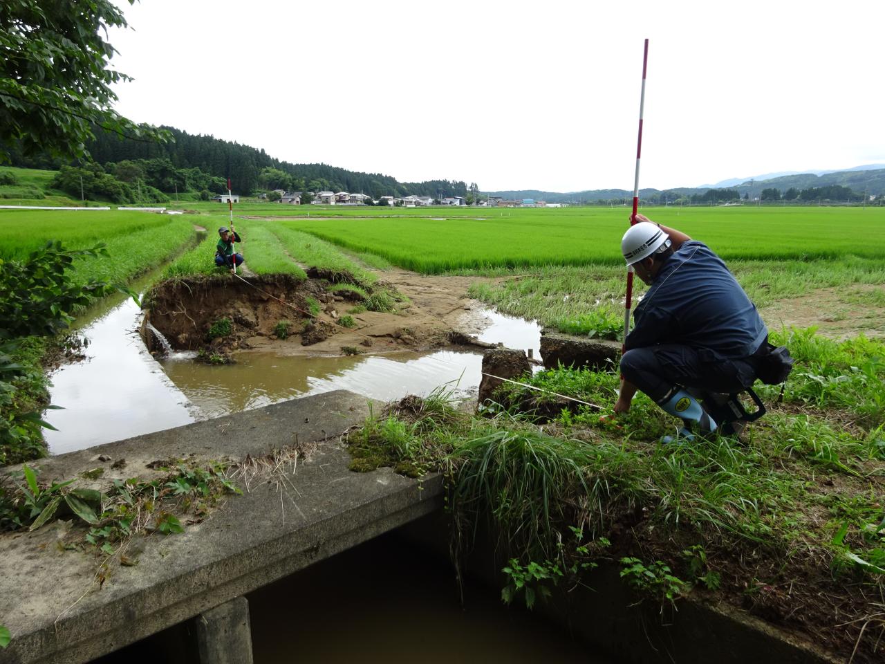 被災状況の把握
