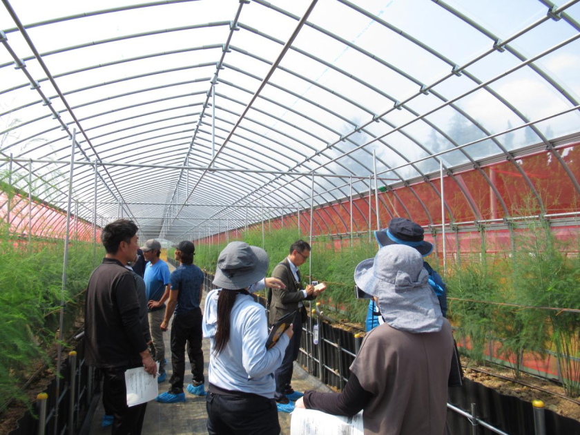 あきたのアスパラ”生産力向上研修会（令和6年6月16日～17日） | 美の