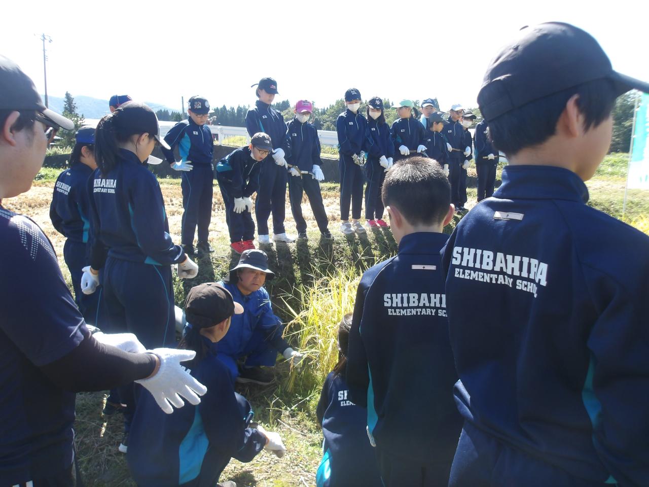 画像 : 稲刈りの前に記念撮影