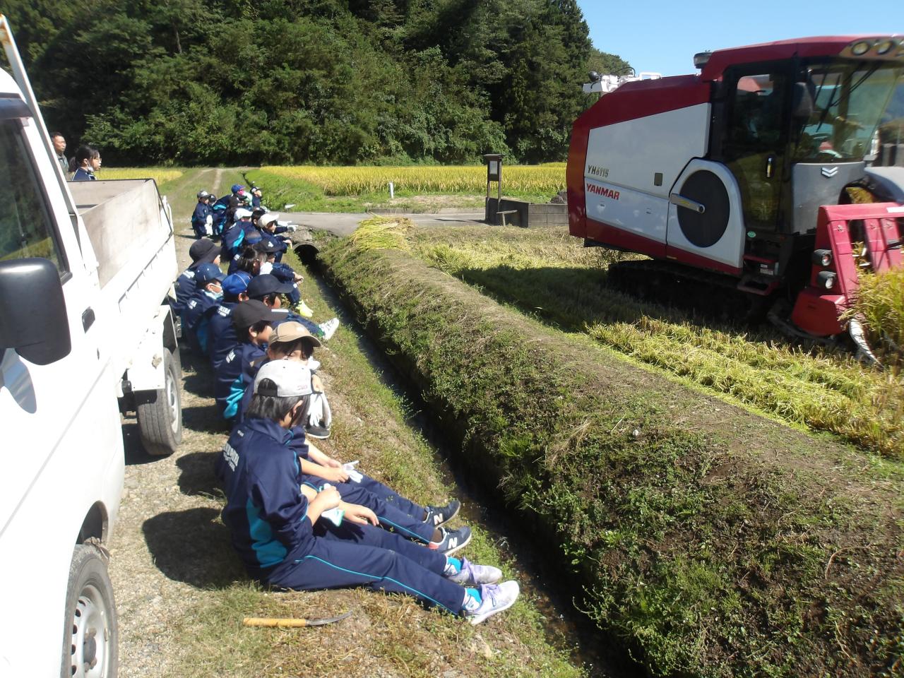稲刈り写真3