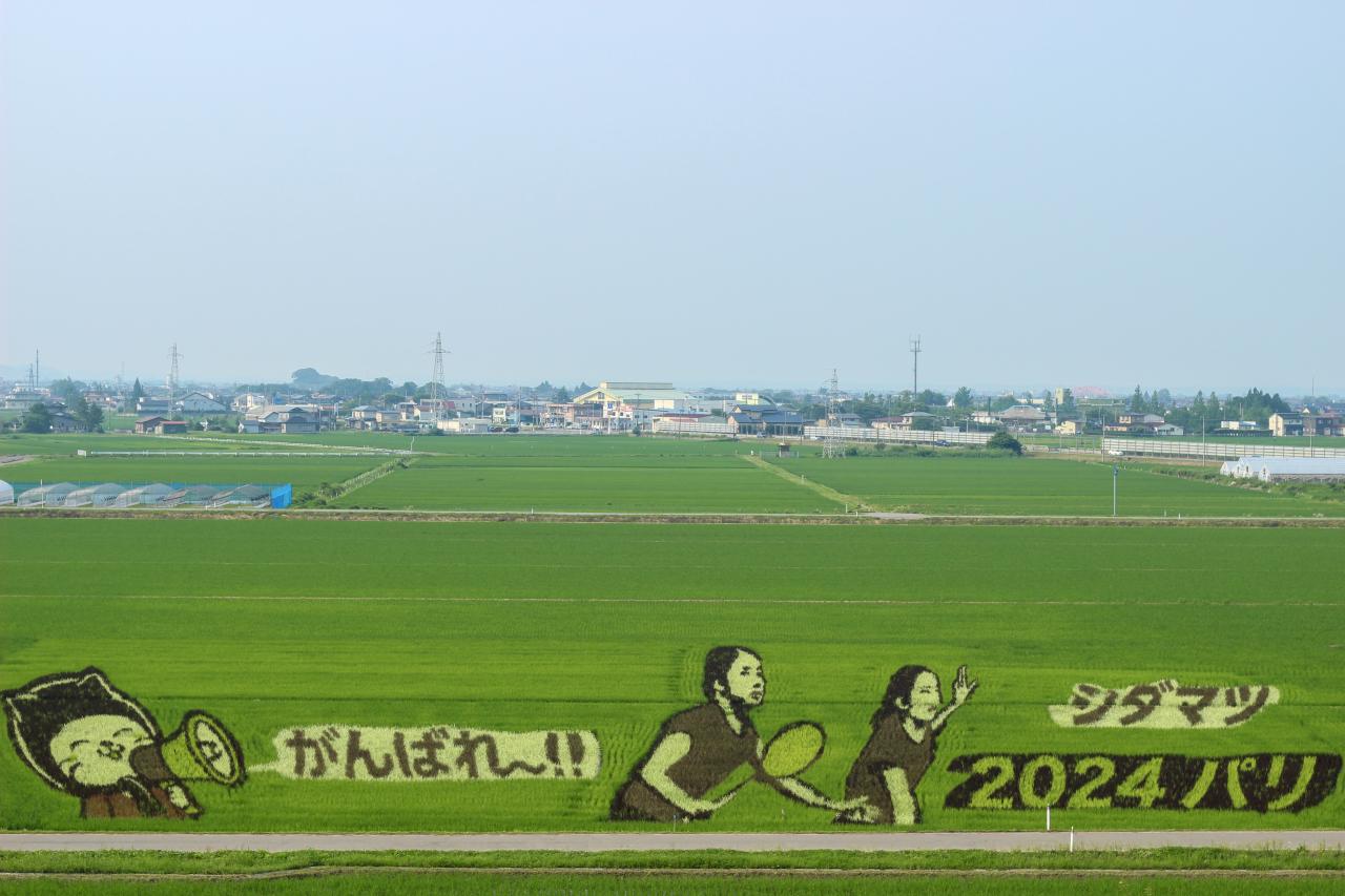 塞ノ神農村公園展望台から見る田んぼアート