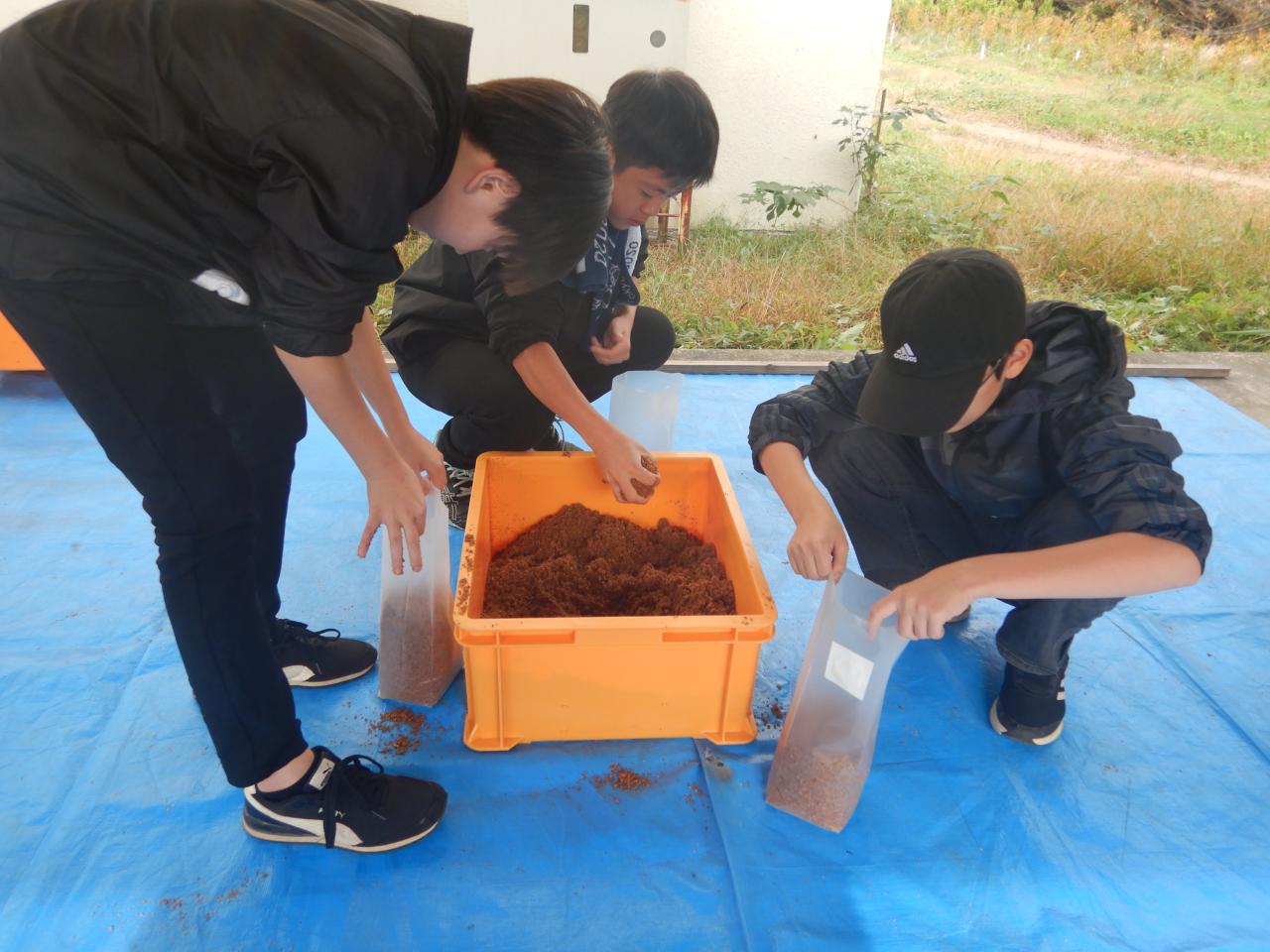 袋詰め