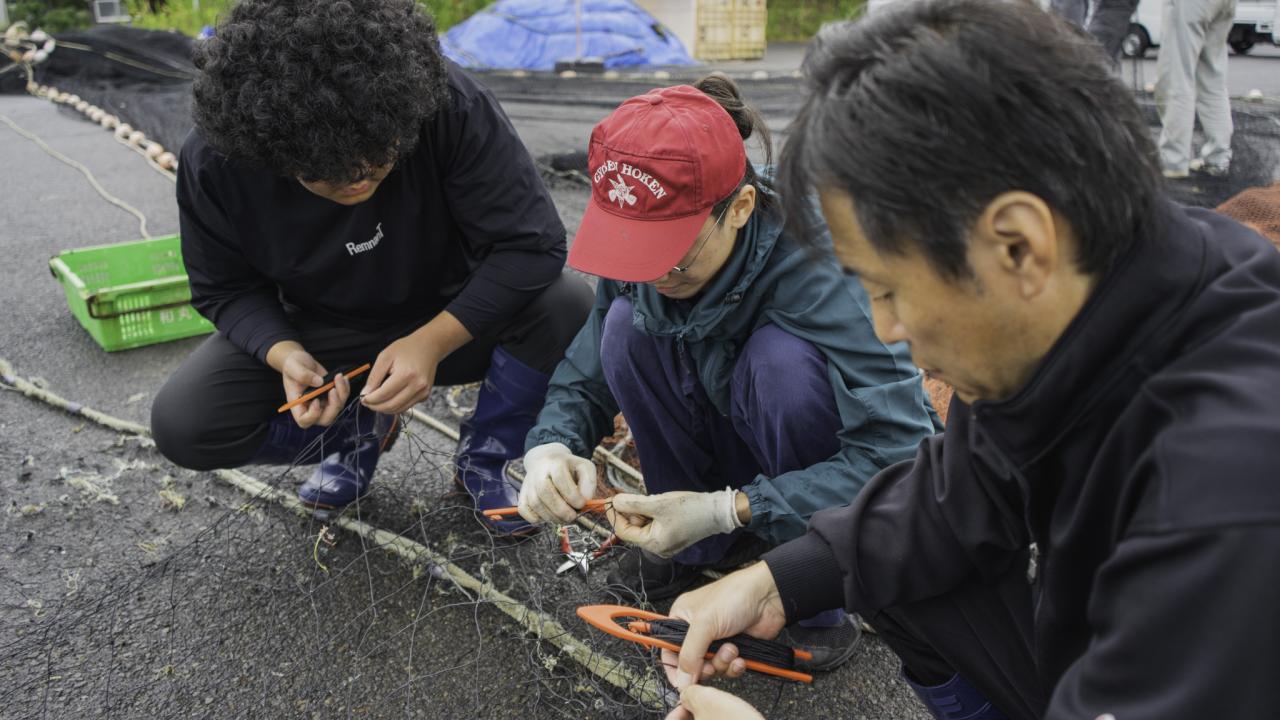 網の補修作業