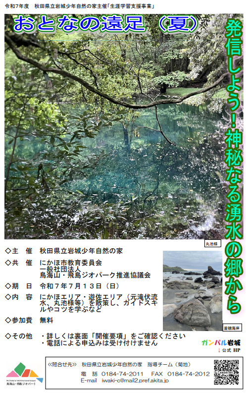 チラシ