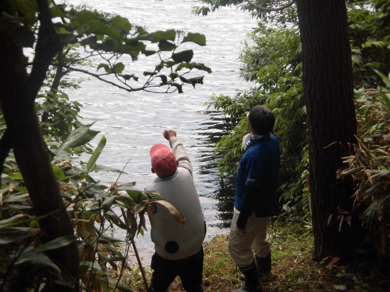 ⑥卵を投げ入れる様子