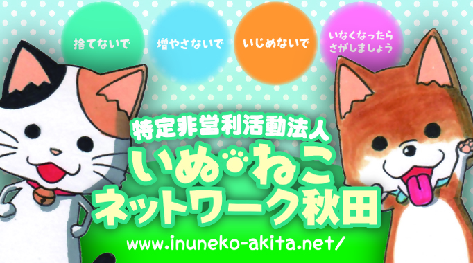 プロジェクト１のトップ画像