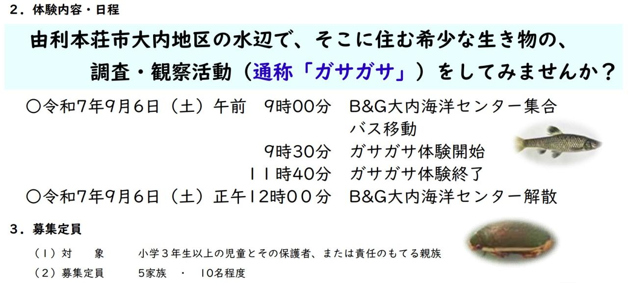 活動内容