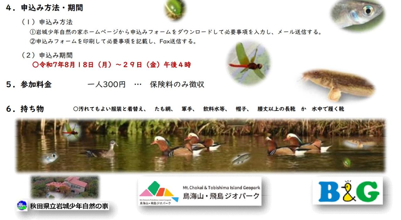 活動内容