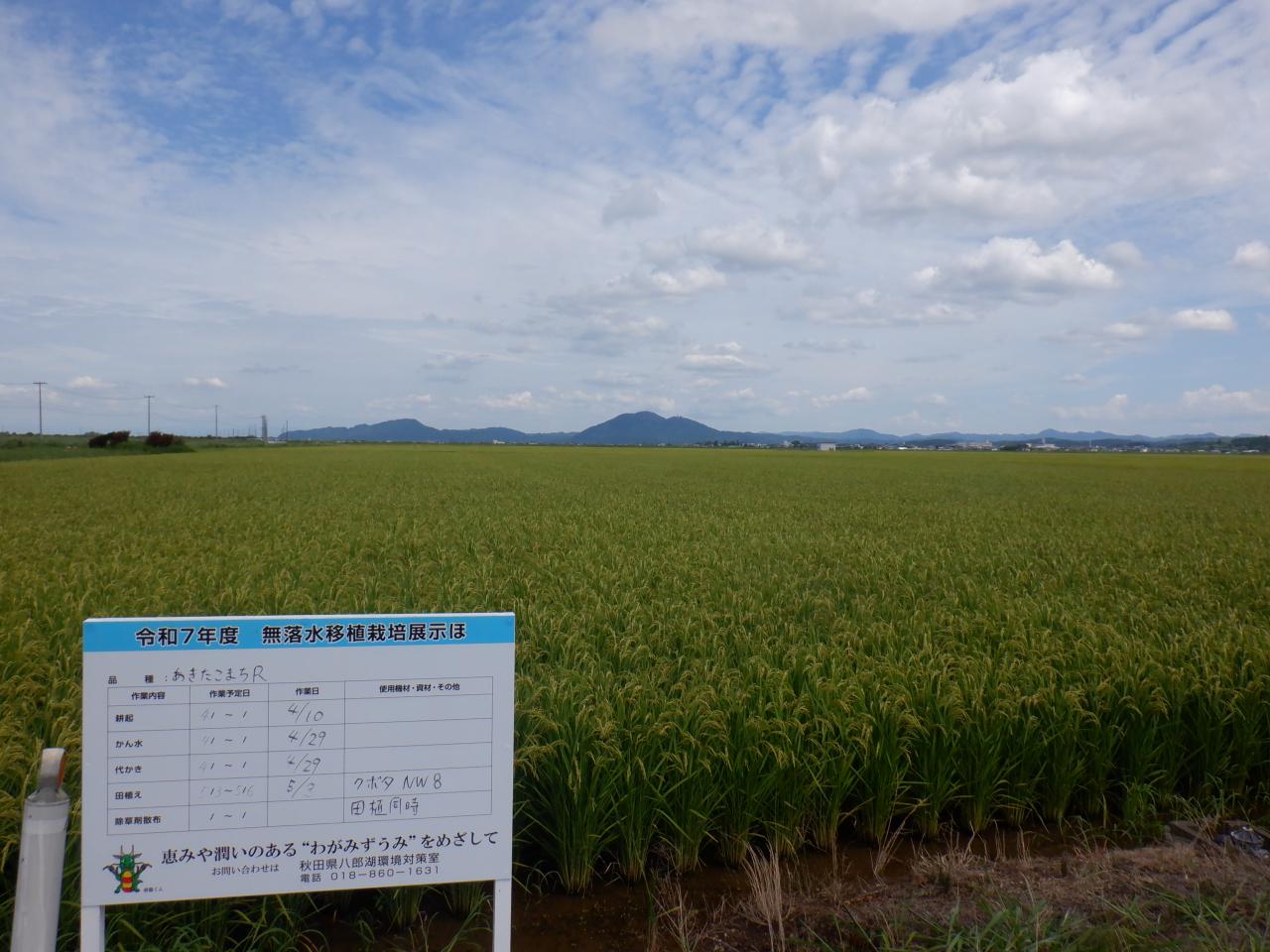 ８月１４日東