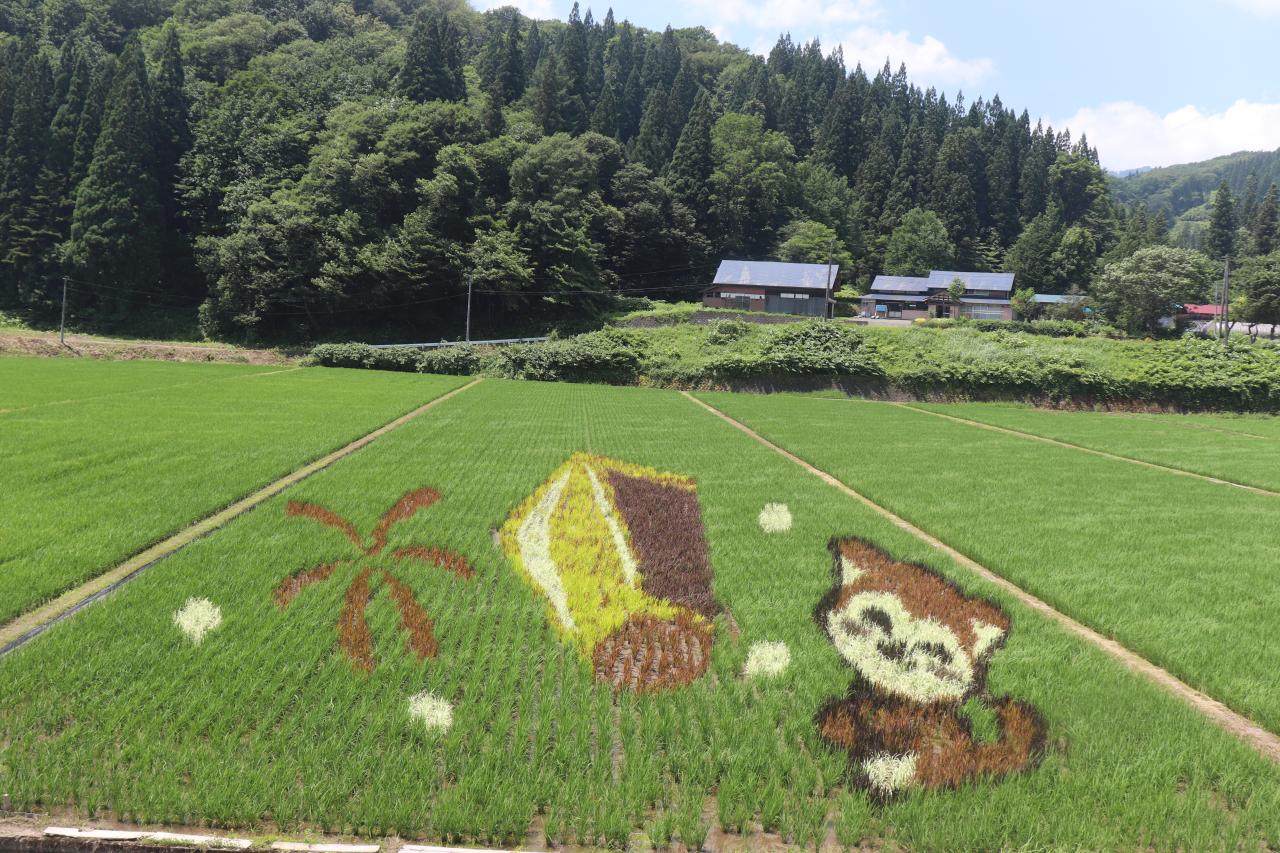 上桧木内地区田んぼアート