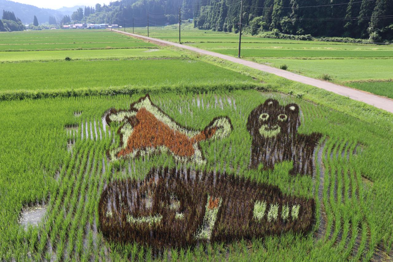 平里地区田んぼアート