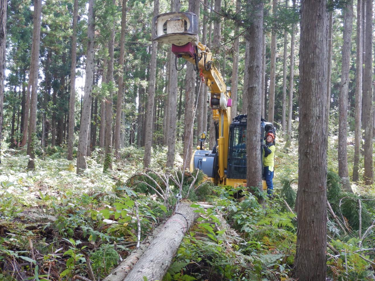 グラップルによる集材