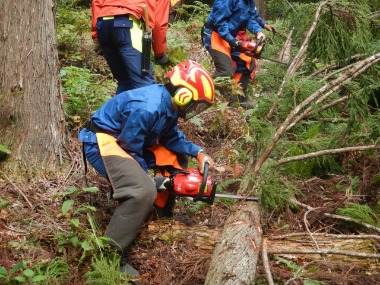 チェーンソー体験