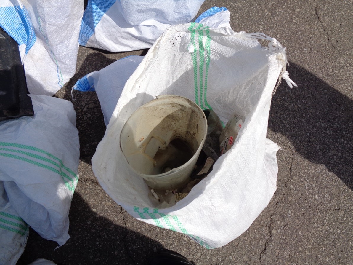 クリーンアップ写真