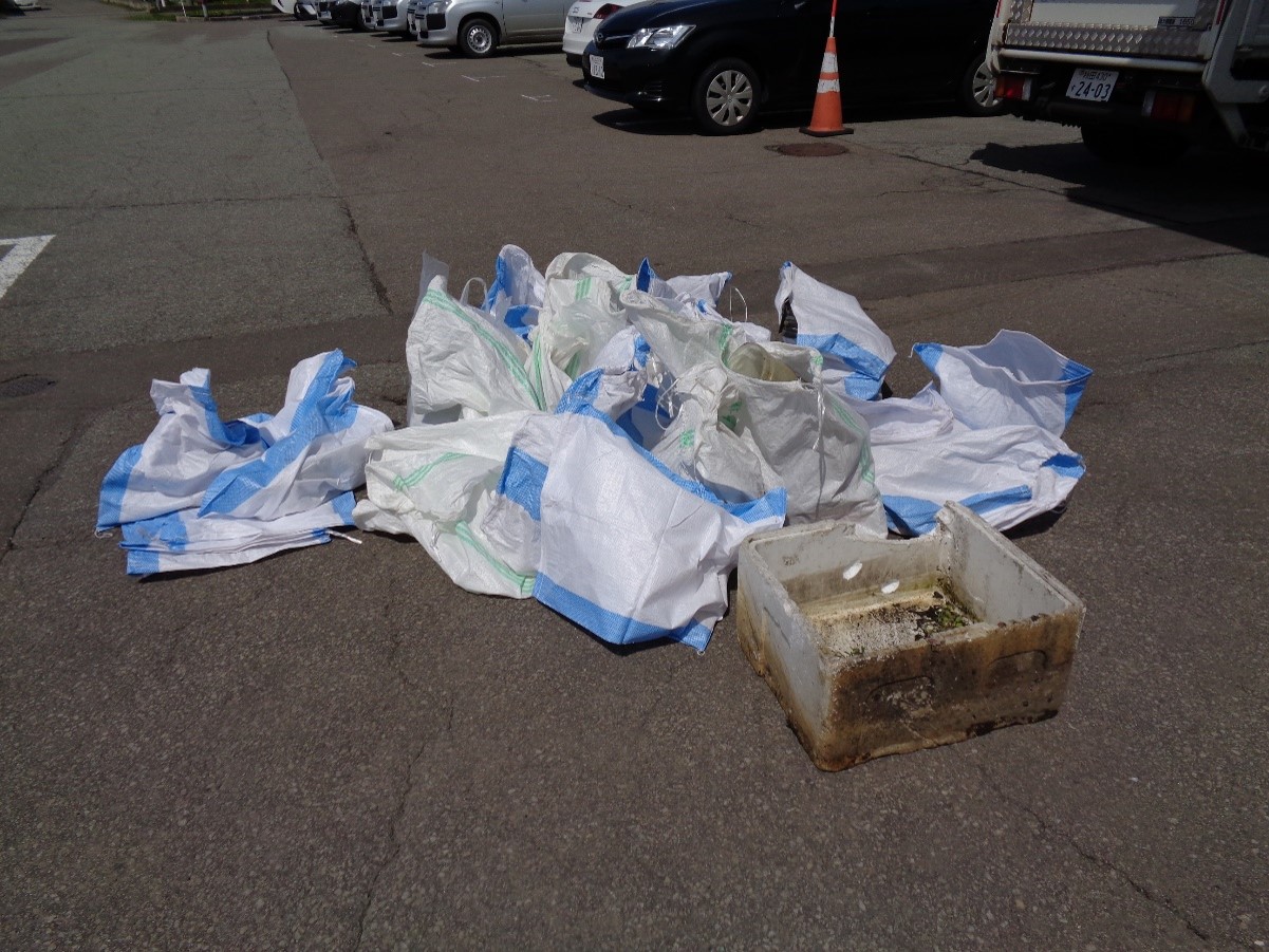 クリーンアップ写真