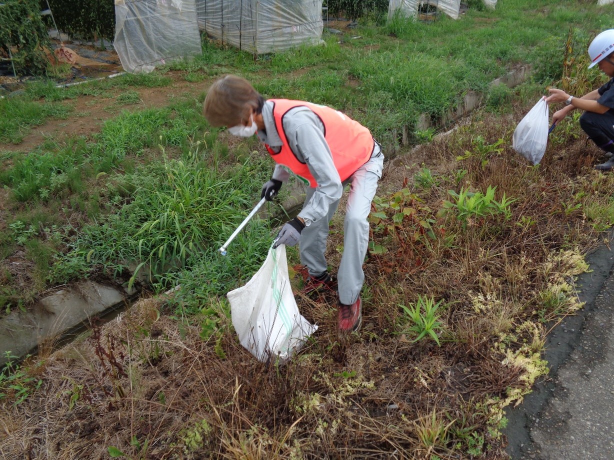 クリーンアップ写真